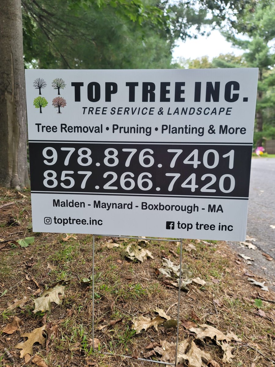 Top Tree inc (@TopTreeinc1) / Posts / X