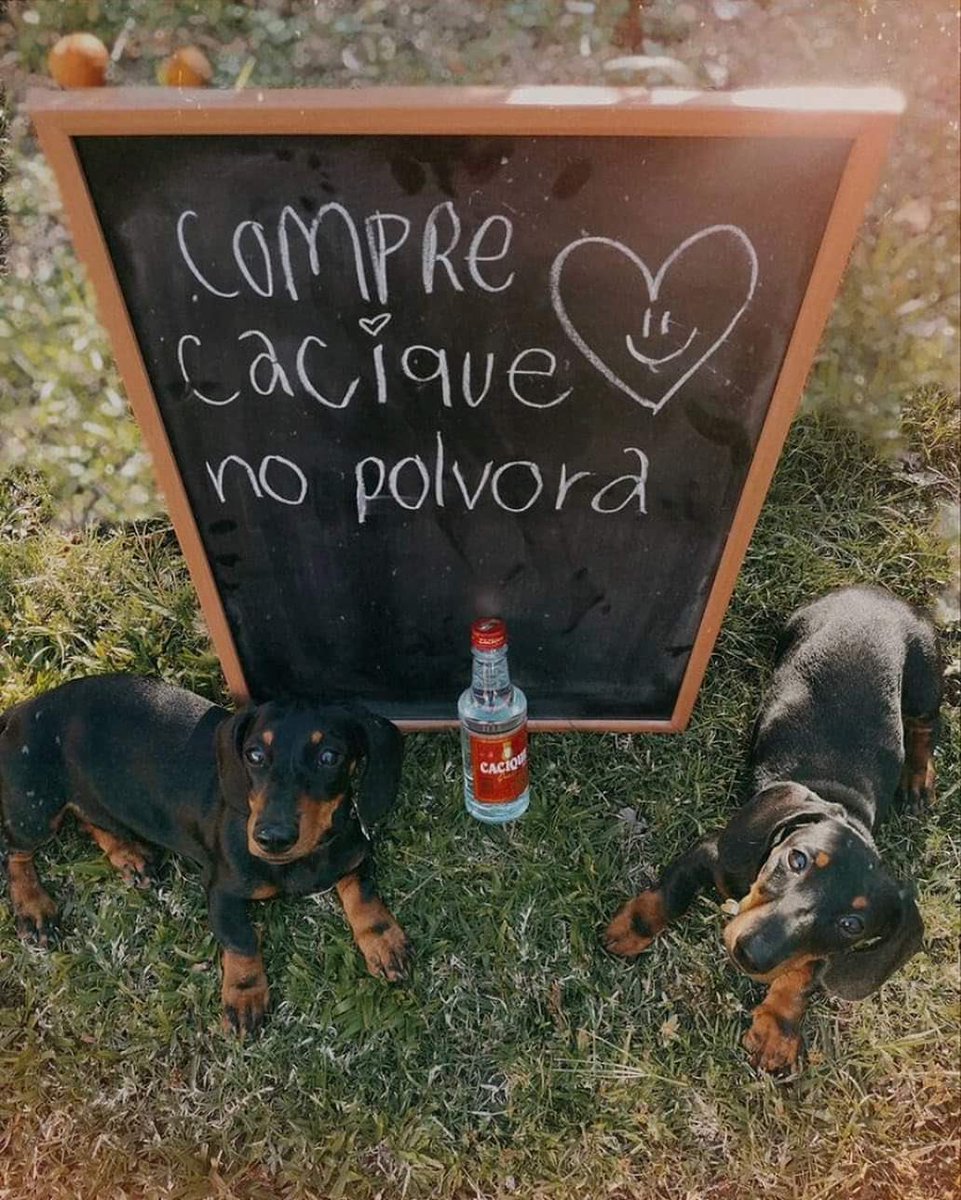 PrisciJaikel's tweet photo. ⬇️ https://t.co/xMXvAggUAE