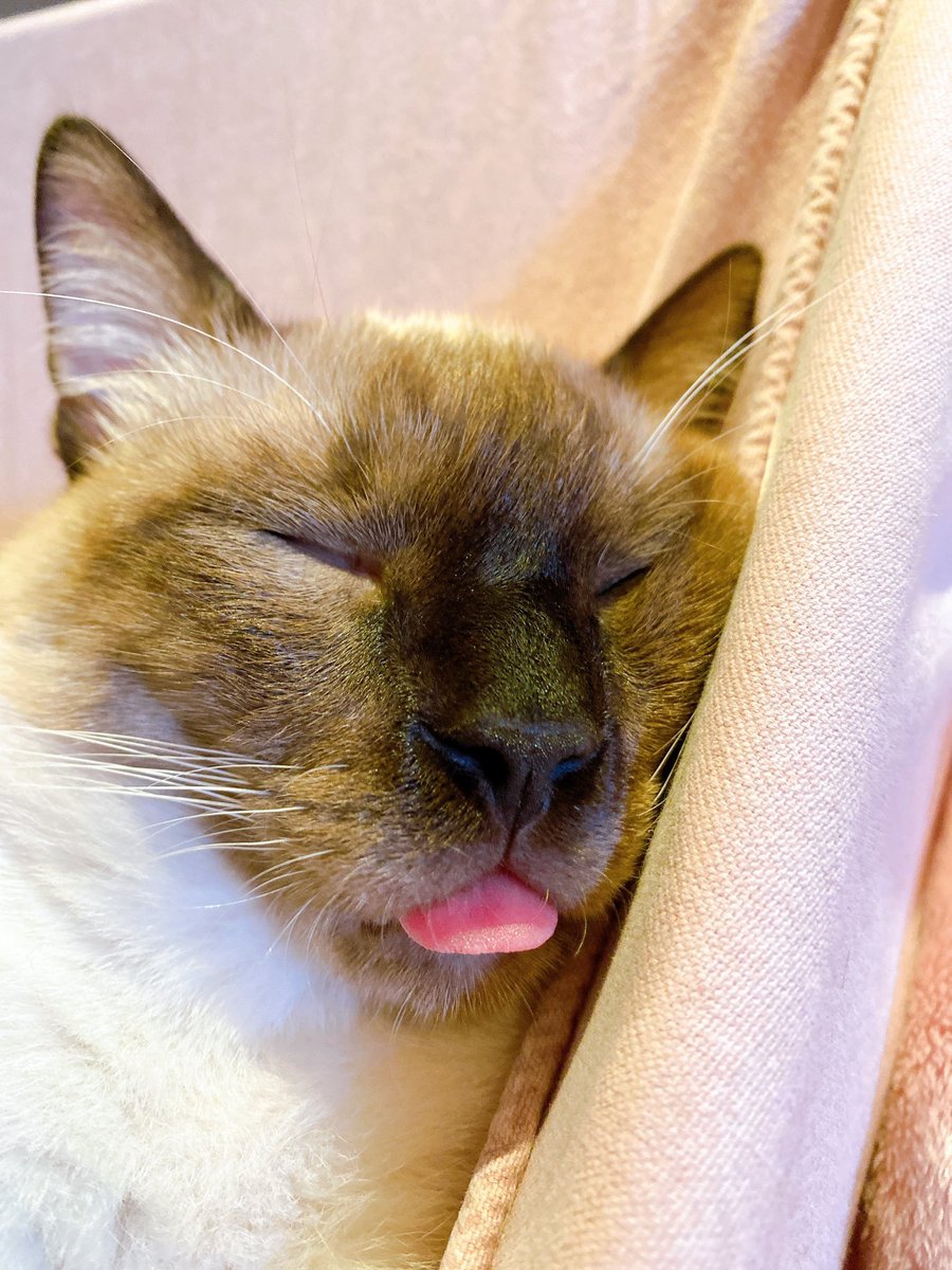 like father like son