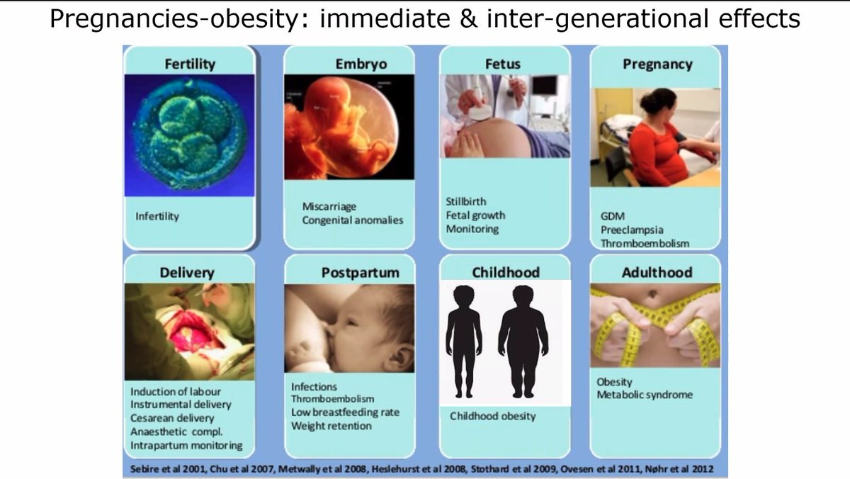 Claire Roberts tweet media