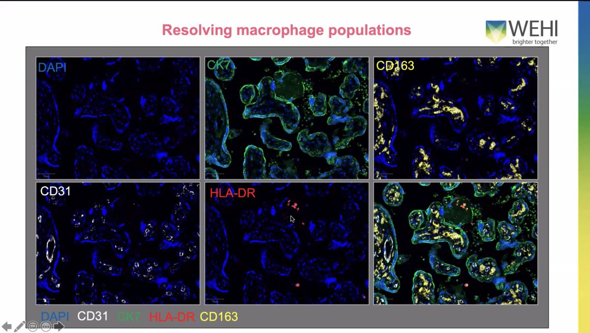Claire Roberts tweet media