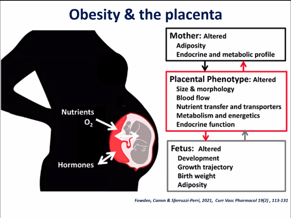 Claire Roberts tweet media