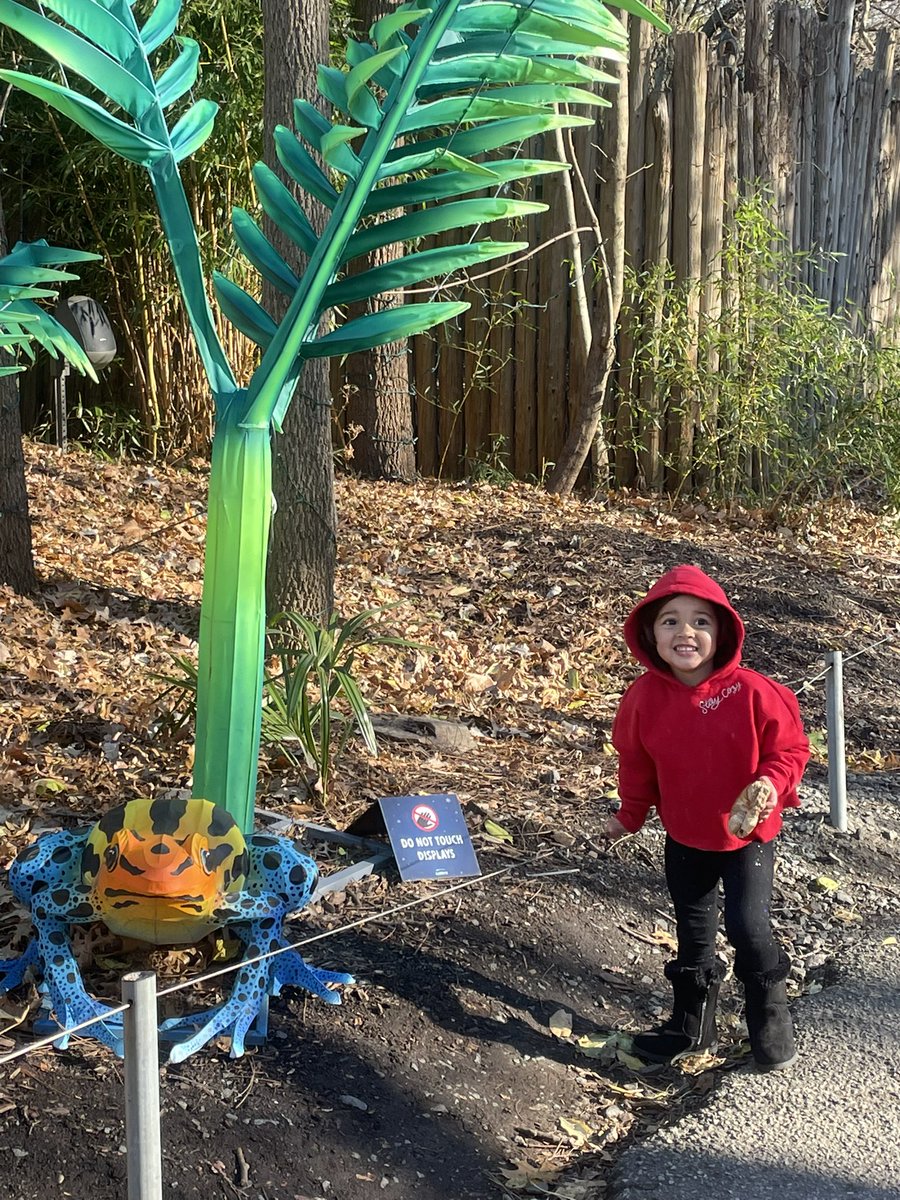 teachingkat's tweet photo. Thank you @BronxZoo for a perfect day! https://t.co/g2GUBWXp7M