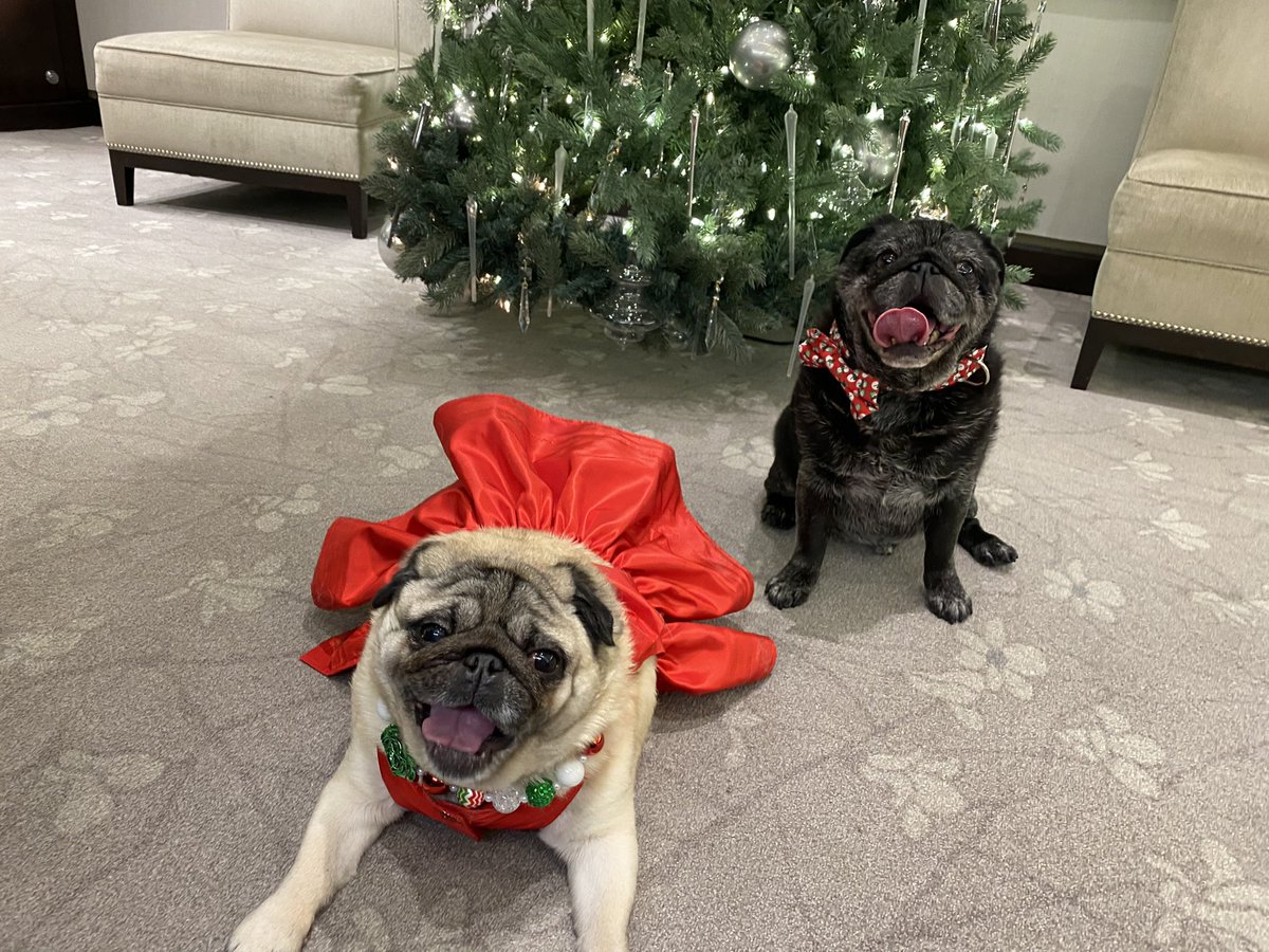 Kami Cyr tweet media