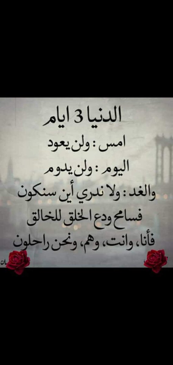 Ramy Metro (@rmdanfhmy) on Twitter photo 