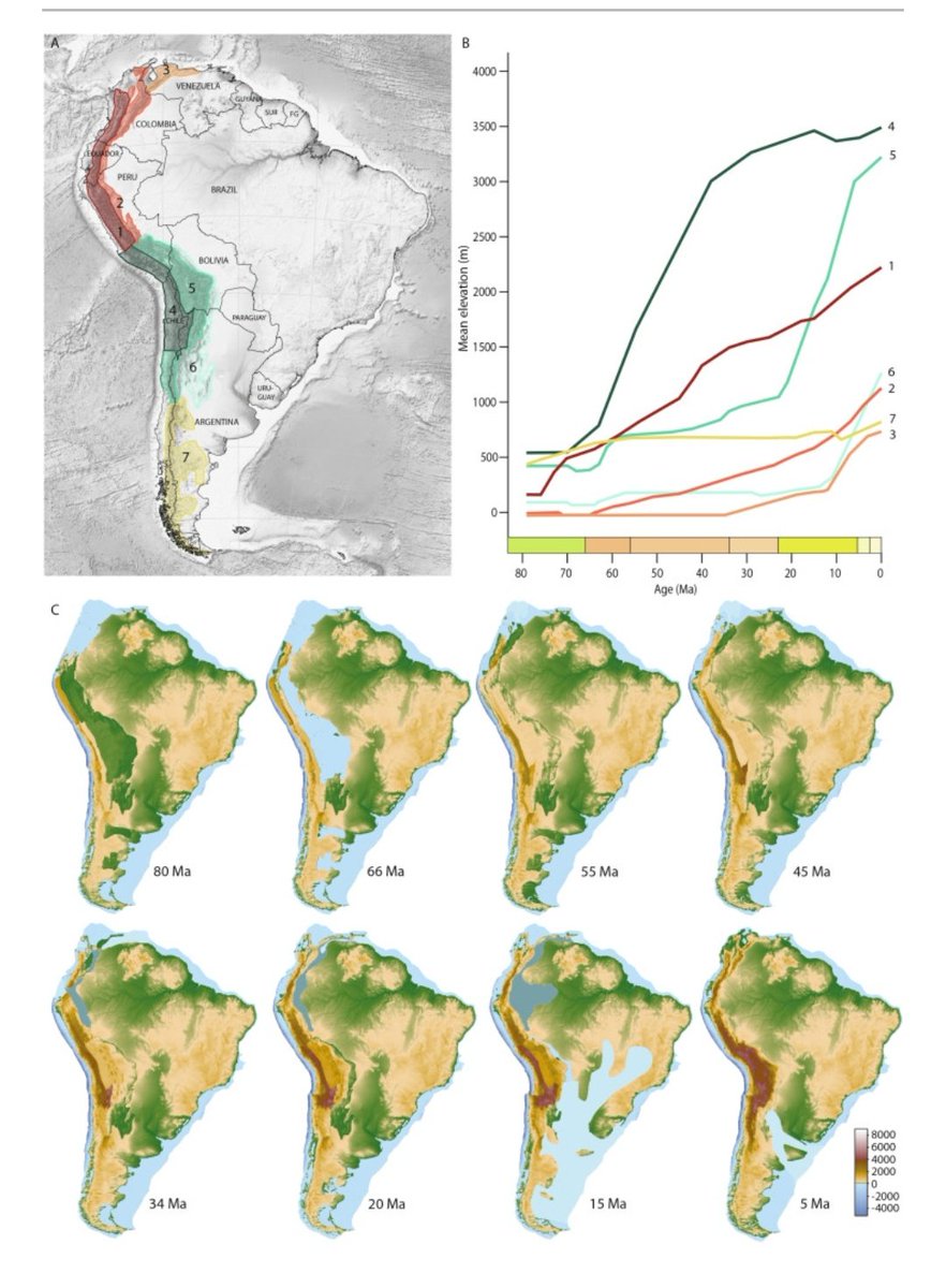 Mountain radiations are not only rapid and recent: Ancient diversification of South American frog and lizard families related to Paleogene Andean orogeny and Cenozoic climate variations by variations by  Boschmana &amp; Condamine (2022).

sciencedirect.com/science/articl…