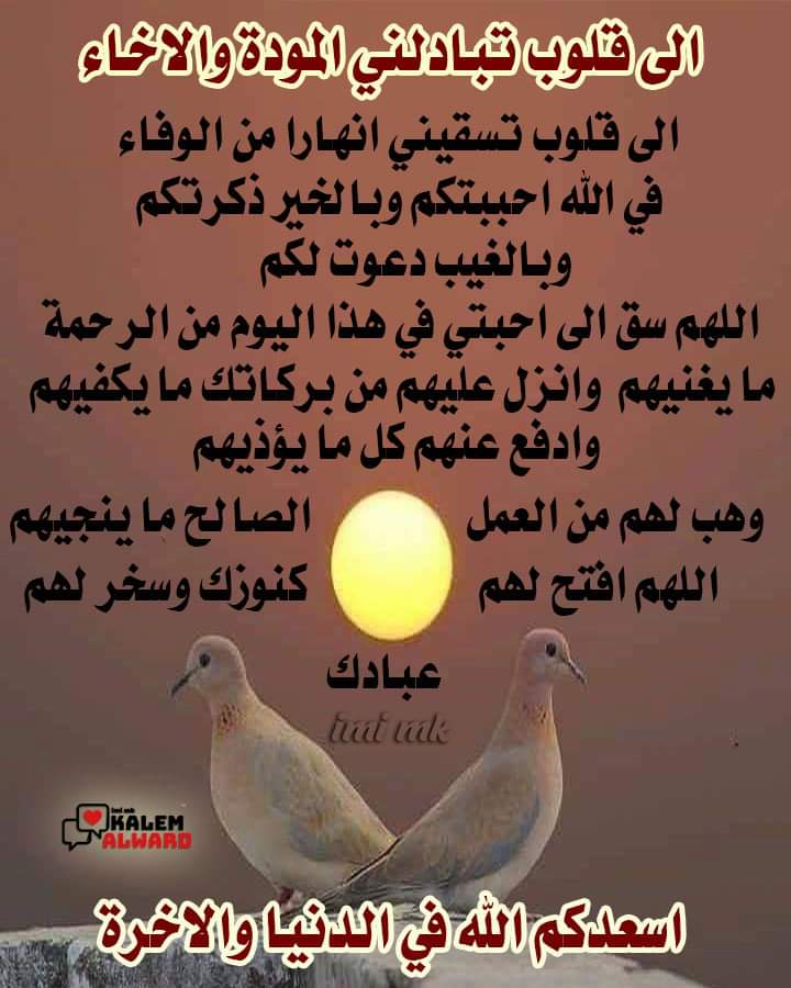 Ramy Metro (@rmdanfhmy) on Twitter photo 