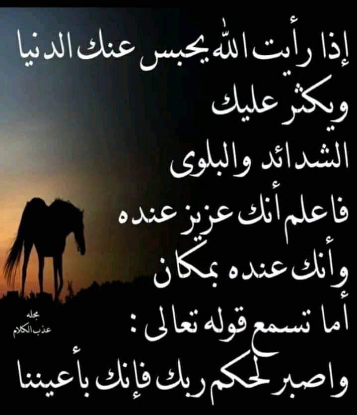 Ramy Metro (@rmdanfhmy) on Twitter photo 