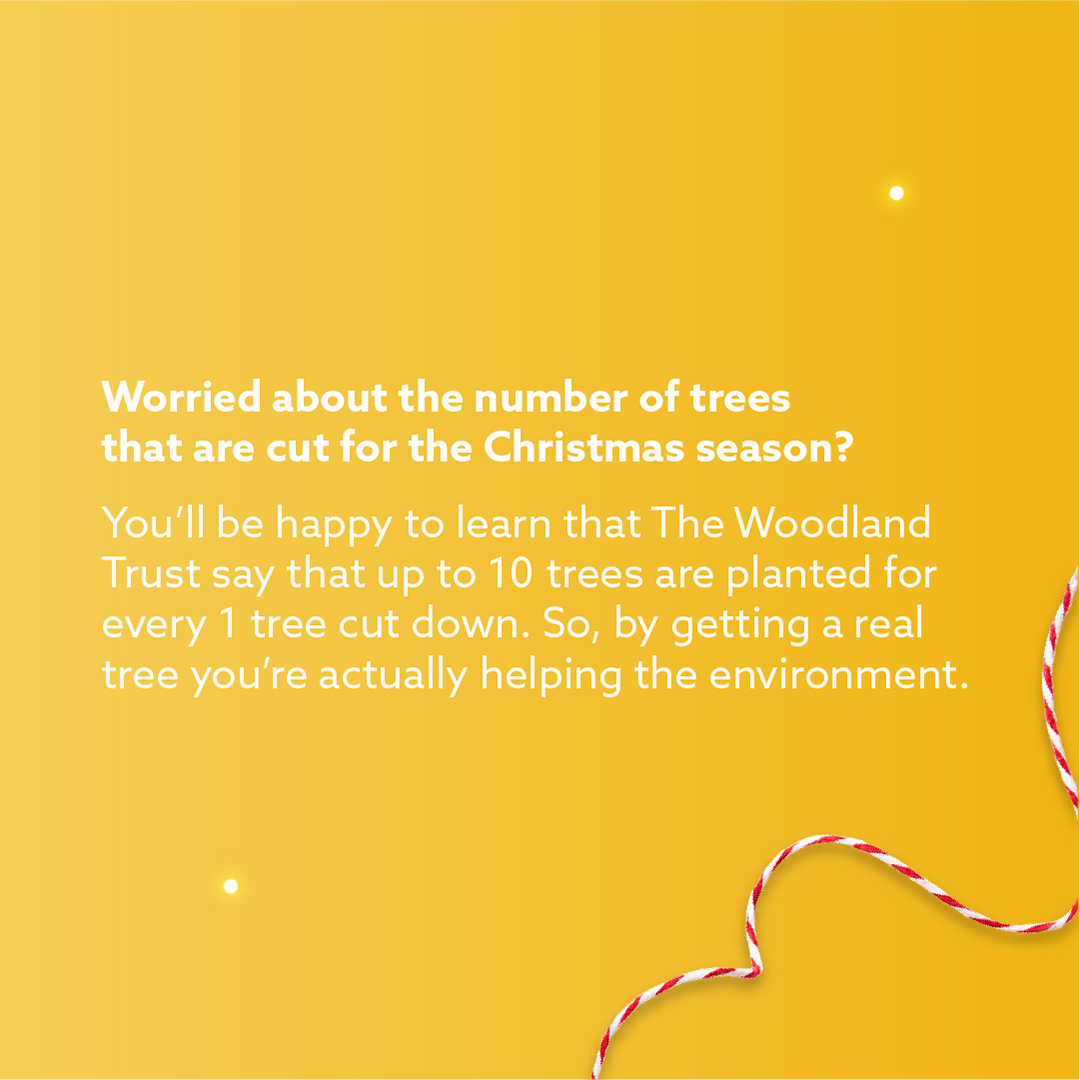 Worried about the number of trees that are cut for the Christmas season? You’ll be happy to learn that The Woodland Trust say that up to 10 trees are planted for every 1 tree cut down. So, by getting a real tree you’re actually helping the environment. 🎄🎄