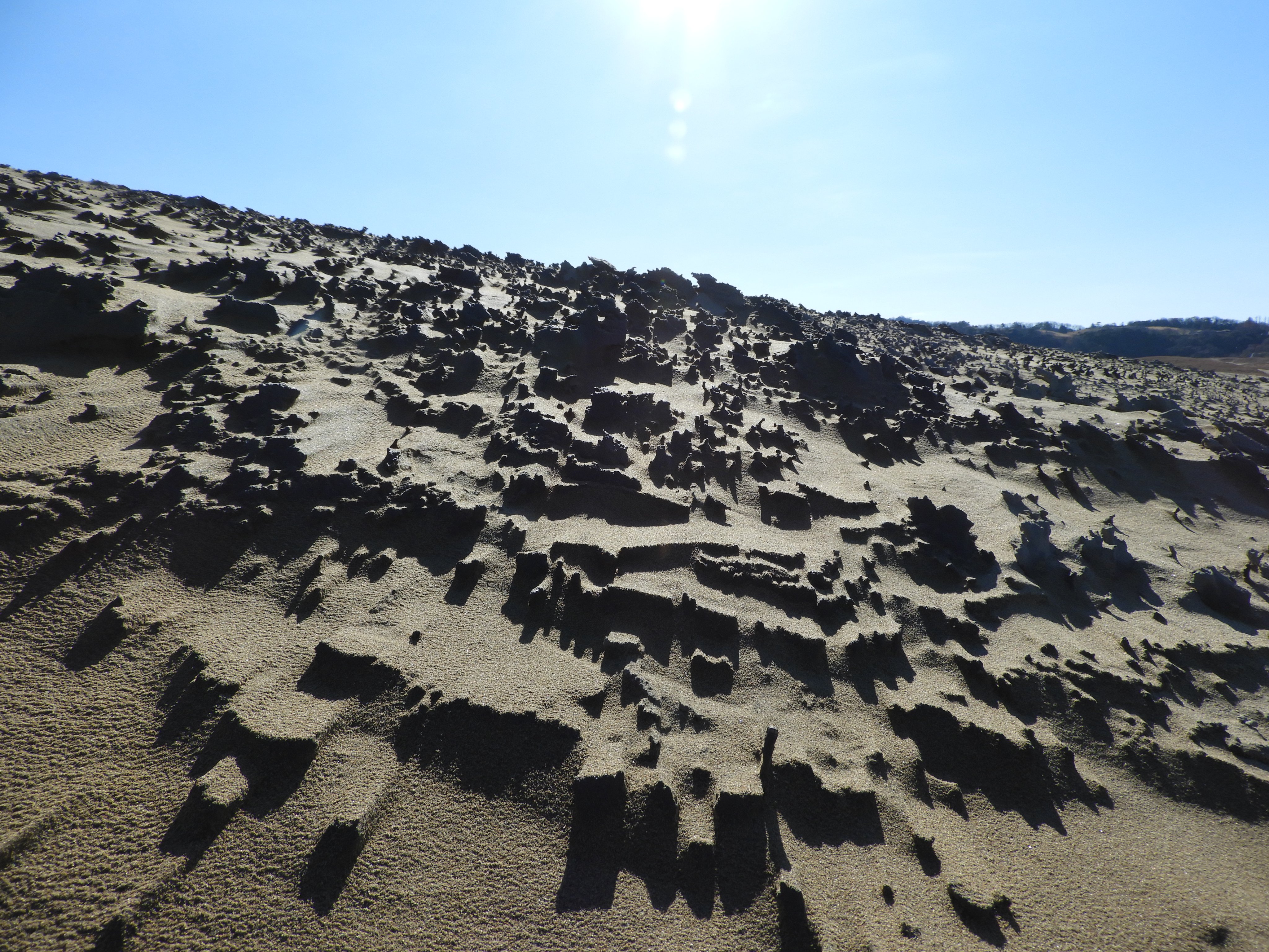 鳥取砂丘ビジターセンター 今日の鳥取砂丘 その 風が作る砂の模様の数々が楽しめます キレイな風紋 ゴツゴツの砂柱 さちゅう そして馬の背の斜面では砂簾 されん 飛砂で砂が削れた部分では ラミナ 訪れた方はゆっくり散策を楽しんでくださいね