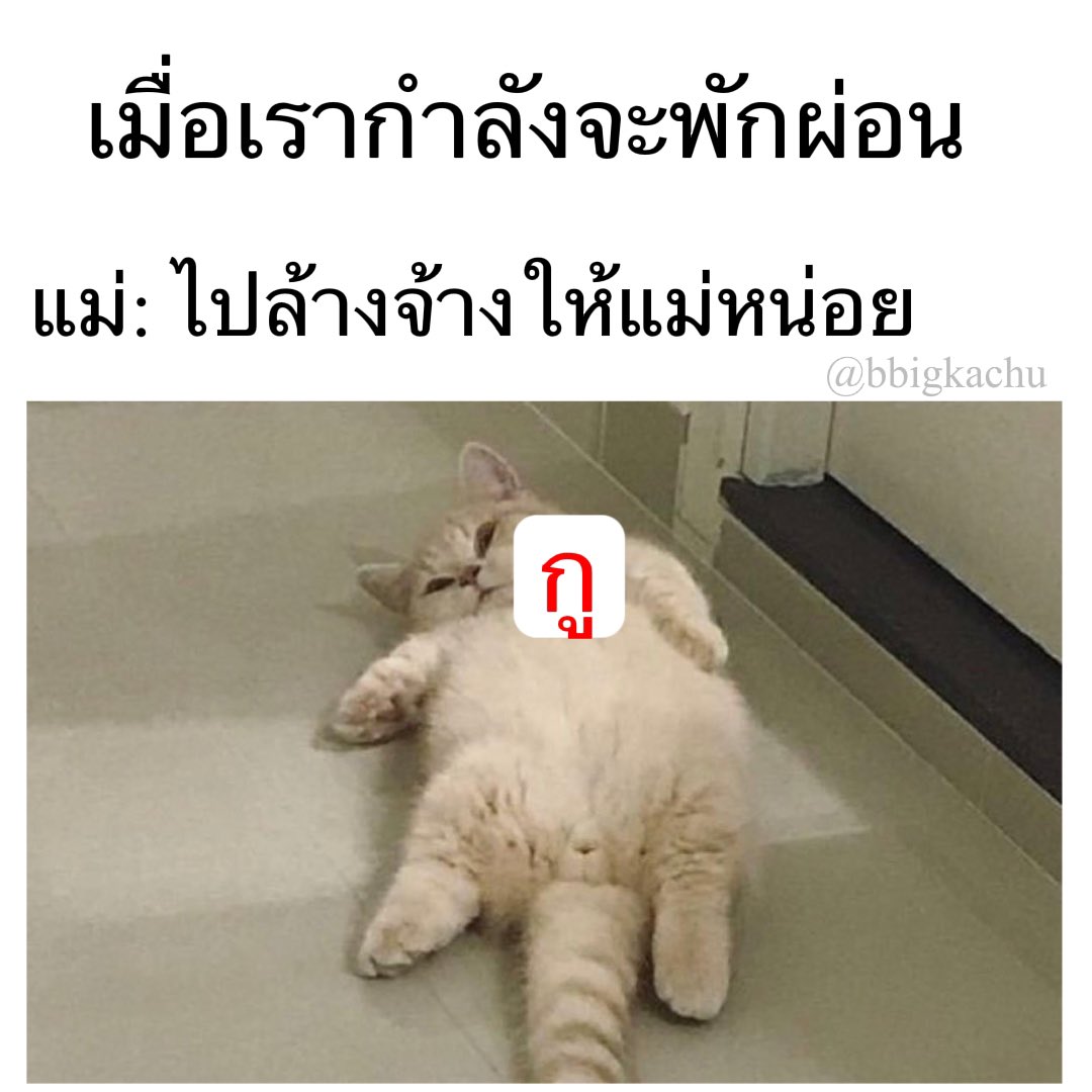 My Image 24