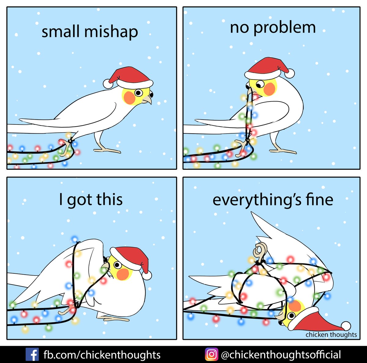 Chimken here - am still alive! Human is very busy flappin around doin silly human things. and im very busy making sure human spends all free time scritchin me!