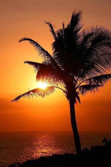 PORT8ART's tweet image. "One day you'll sit in the #sun and things won't feel so bad".

#positive #nature #sunsets #outdoor #travel