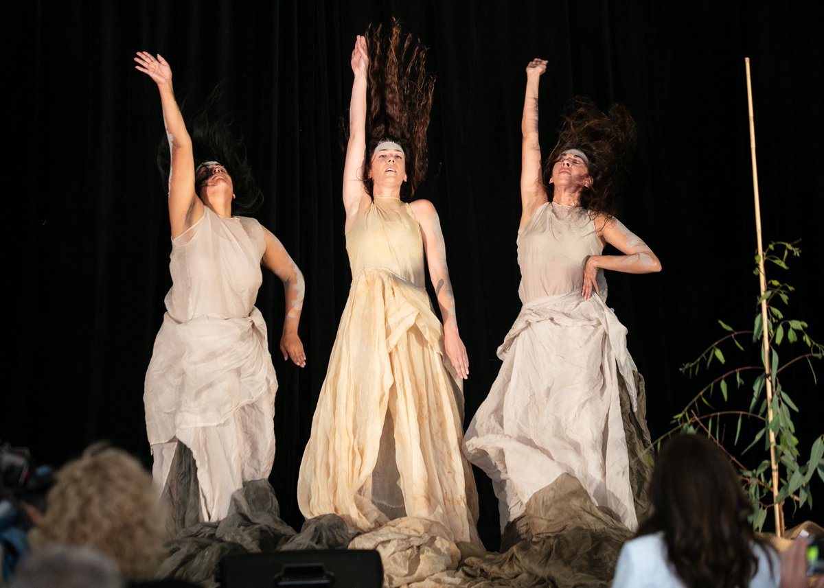 Lot Fourteen tweet media