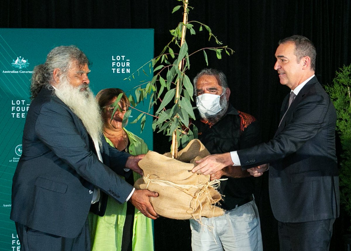 Lot Fourteen tweet media