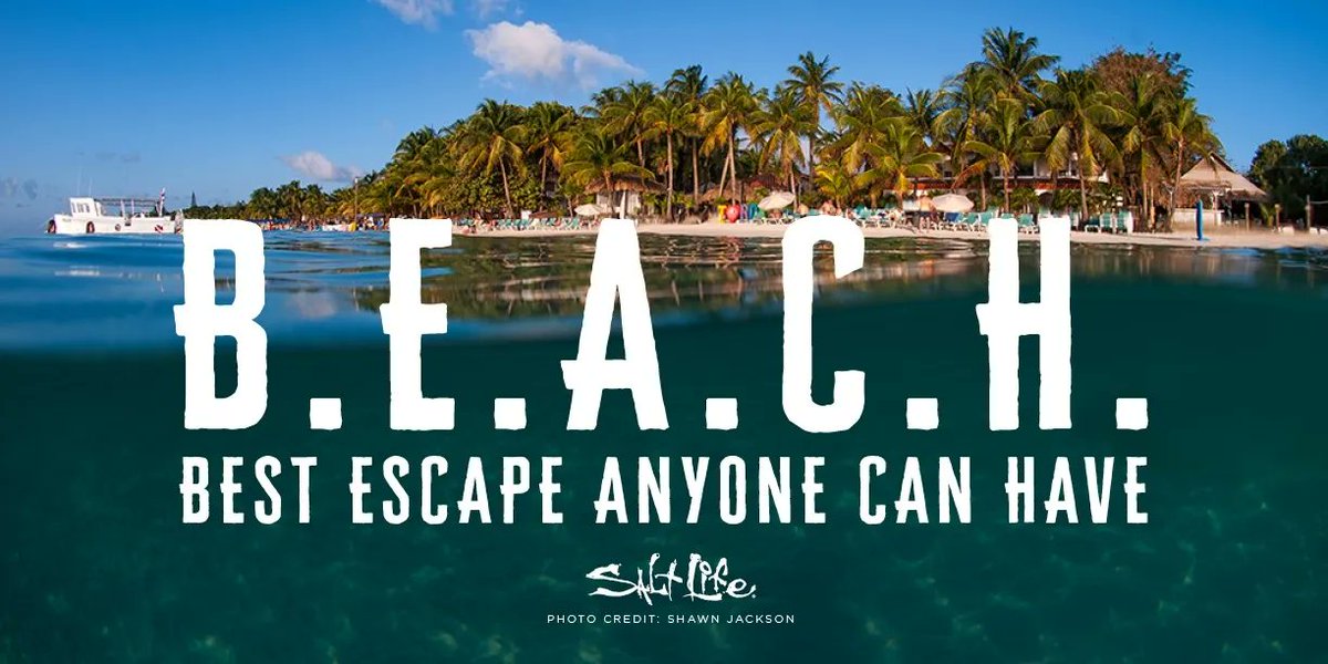 RealSaltLife's tweet photo. Let’s Escape to the B. E. A. C. H. ⛱

#LiveTheSaltLife https://t.co/TESipOgwvR