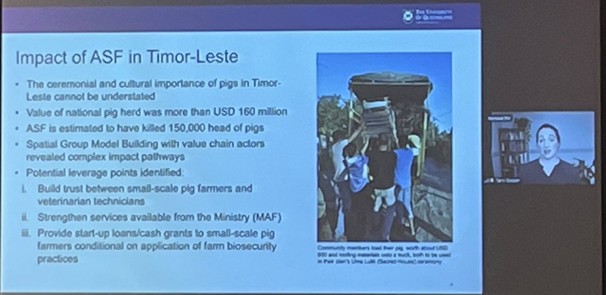 CrawfordFund's tweet photo. Important to have a broader perspective of social and family impacts of biosecurity threats as explained by @TarniCooper @UQ_News around @ACIARAustralia @ILRI project on African Swine Fever in Timor Leste #21cfconf https://t.co/UvDJNecdjM