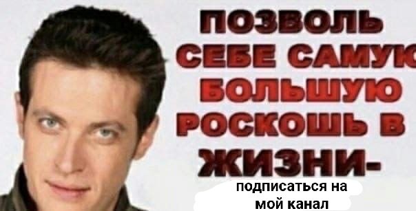 собу tweet media