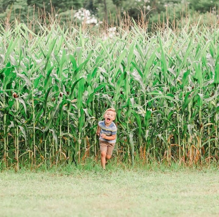 dclynchprvt's tweet photo. sweet and innocent one minute, crazy and wild the next ... that's my boy for you. craziest, sweetest and most loving kid around. happy belated 5th birthday, little man 💙 https://t.co/UDKfw04FKC