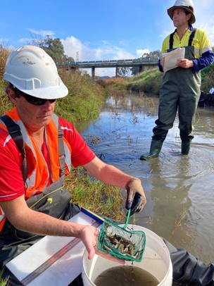 Harvey River Restoration Taskforce tweet media