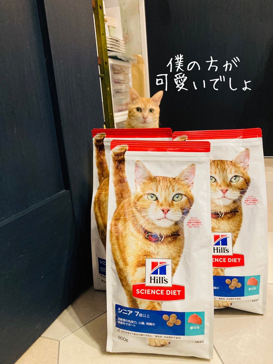 CATS_INN_TOKYO's tweet photo. ご寄付のお礼♫
エマ トライアル中のS様
腸内バイオーム
D・Y様
ヒルズサイエンス
ご支援ありがとうございます♪
ちゃのすけ、そうだよね😸
#キャッツイン東京7 #猫 #cat #保護猫カフェ #板橋 #里親募集 #v10cit #chanocit https://t.co/5CFO2oXeIm