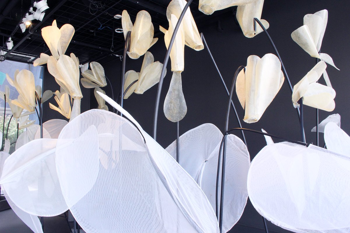 We’ve got a new work of art in our CMAG on the Square space proudly named ‘Flower Power’ by Canberran artist Delene White.
 
White presents a sculptural garden of giant cyclamens that sway and bow, with their gentle light offering a welcoming glow of hope.