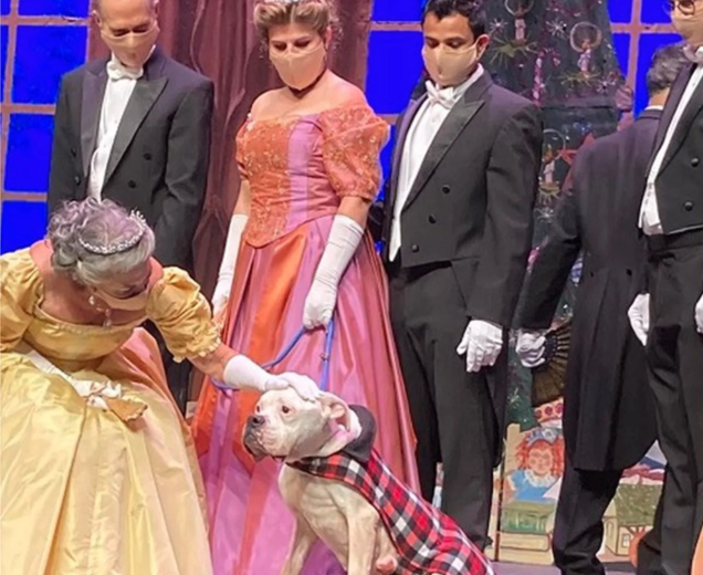 PBRCtweets's tweet photo. Abandoned Dog Found Tied to Pole in 'Horrific Condition' Gets 'Nutcracker' Role and a Home
https://t.co/eyuva5NwJY
#adoptapitbull❤️ #adoptarescue #adoptarescuedog #PBRC #nutcracker2021 #nutcrackersuite #nutcrackerballet https://t.co/QiNGTLr552