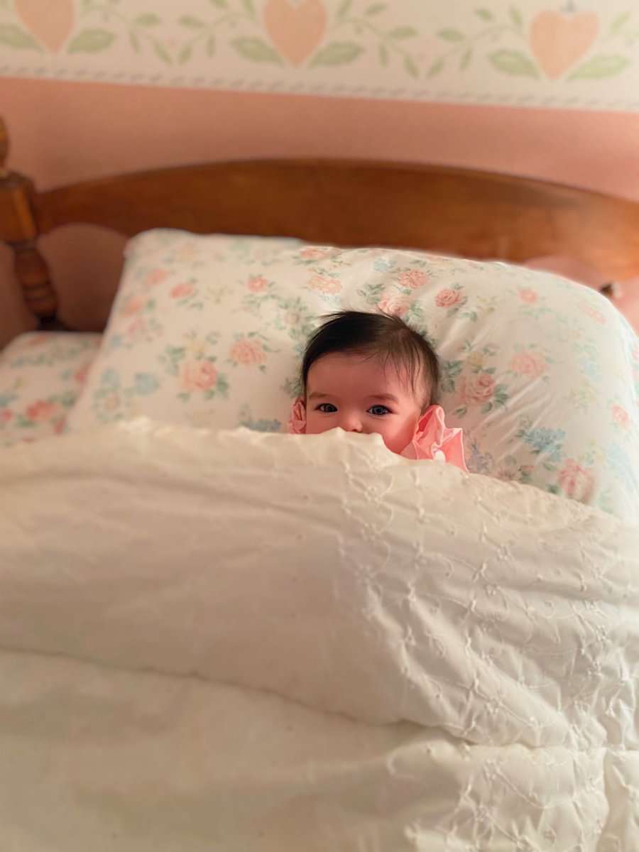 charlotte tweet media