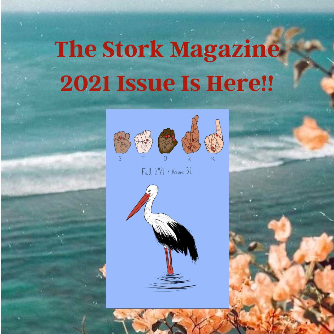 Stork Magazine tweet media