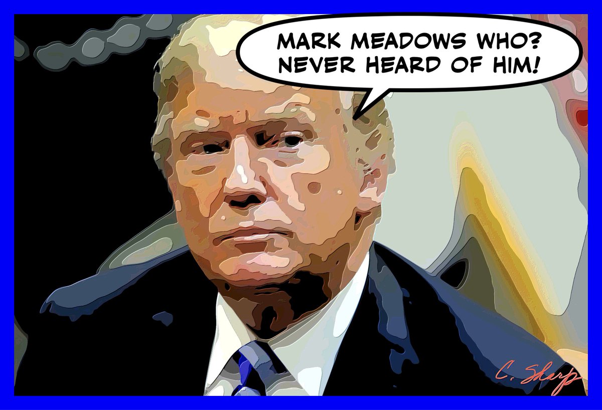 christinesharp's tweet photo. SO WHEN DOES #TRUMP FLEE THE COUNTRY. #TrumpCoupAttempt #MeadowsHearing #MeadowsInContempt https://t.co/Pv8NA4e5sH