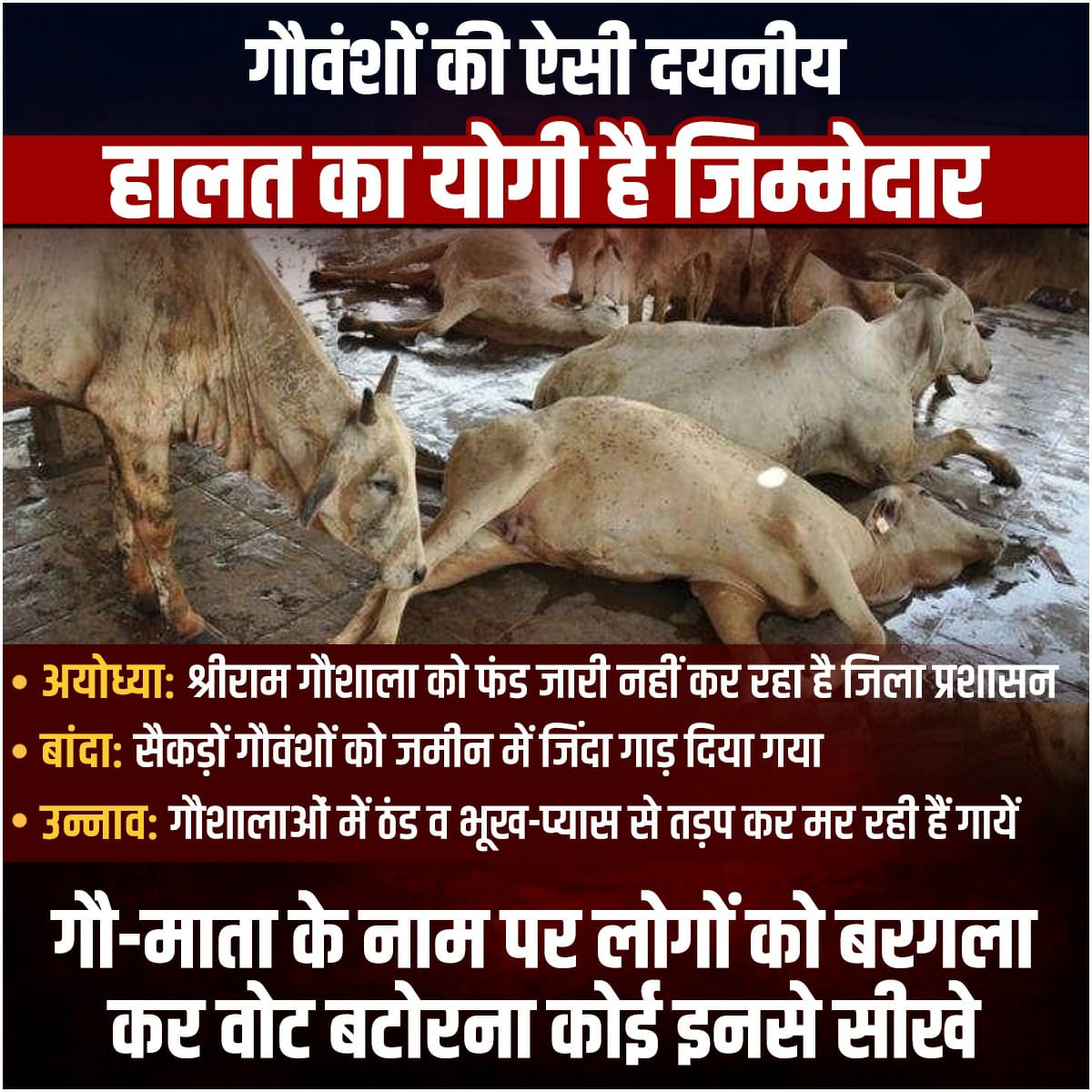 NafeesPilibhit's tweet photo. Those who cannot Protect their twitter account they talk about protecting the country.
#BJP_भगाओ_गाय_बचाओ #ModiAccountHacked https://t.co/BjMl0f4Yyl