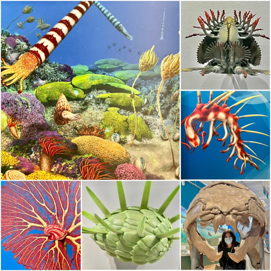 SwensonConnie's tweet photo. Life on earth est. 4 billion years ago… dawn of a major new @ROMtoronto gallery #DawnOfLife 👏 Bravo, @ROMPatrons! https://t.co/dAyVWcZtjC
