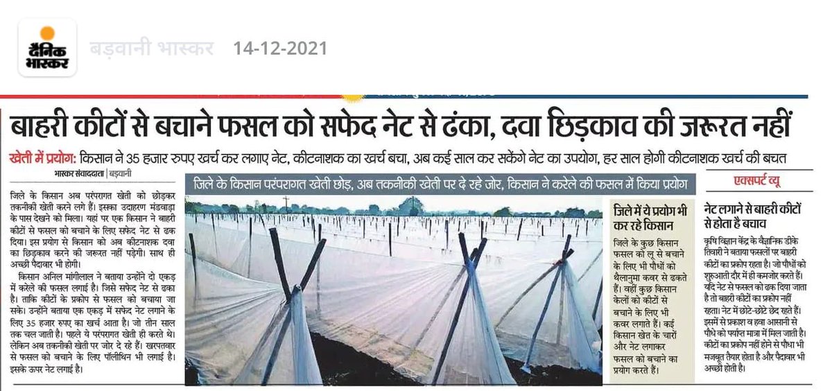 इंदौर संभाग के बड़वानी जिले में किसान अब पारंपरिक खेती के बजाय तकनीकी खेती को अपना रहे हैं।

#agriculture
#badwani
#JansamparkMP
⁦<a href="/minmpkrishi/">Agriculture Department, MP</a>⁩