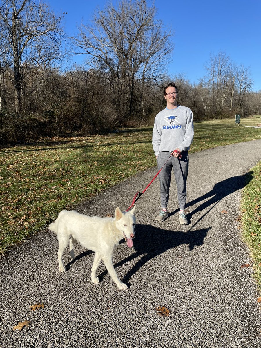 mutterp's tweet photo. Skull is a Siberian Husky looking for a permanent home! He is a rescue. https://t.co/MKyEv28ZPu
