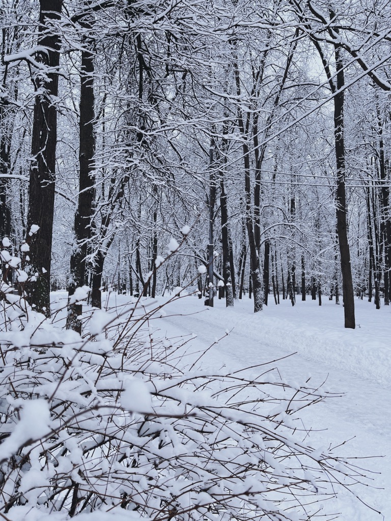 zen_pc's tweet image. Make winter great again ❄️