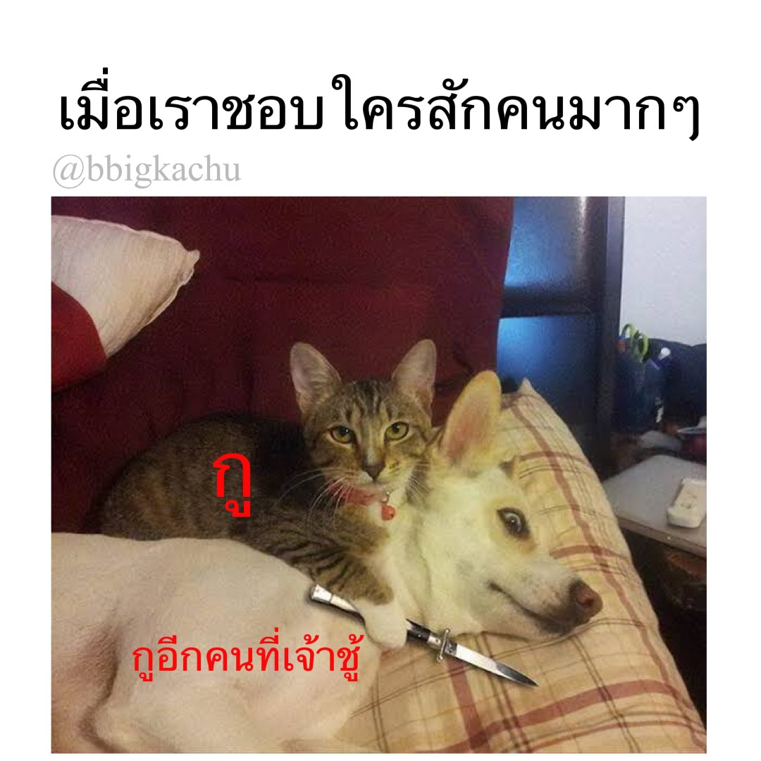 sad boy . tweet media