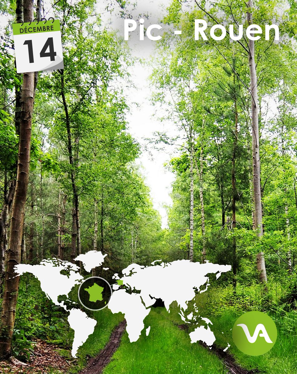 A Petit-Couronne près de #Rouen, nous avons dépollué 80 hectares. 

Environ 12.000m3 d’#hydrocarbures ont été déversés sur ces terres. 

Aujourd'hui c'est tout l'#écosystème du site qui est protégé et revitalisé. 

La #pollution des #sitesindustriels n'est pas une fatalité !