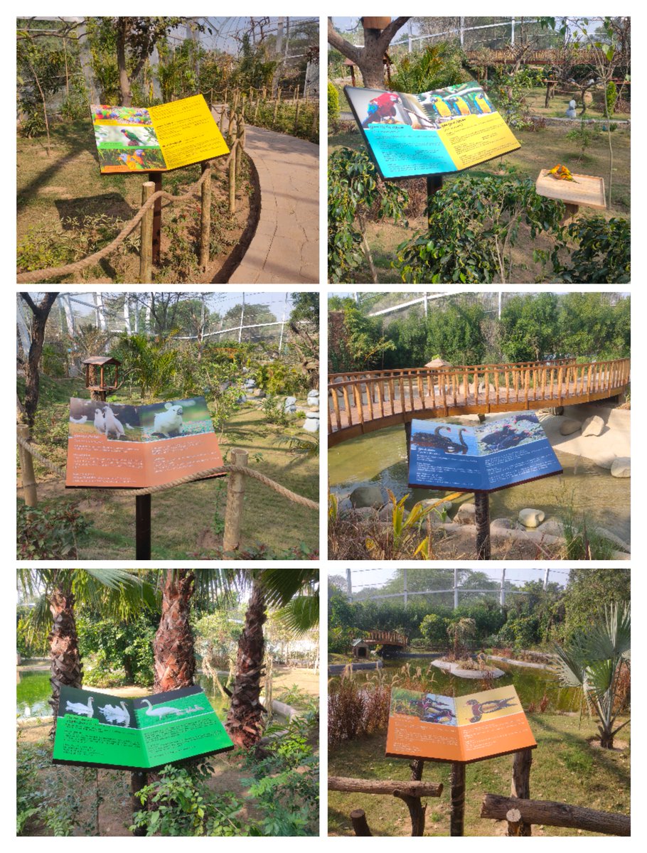 India_Pooja's tweet photo. The feeling of being associated with a prestigious project in your own city is as beautiful as our new feathered friends. Delighted to contribute to the beauty &amp; knowledge being shared in #ChandigarhBirdPark
Here are glimpses of some of our creative pursuits including the Logo https://t.co/29OhFkeeTJ