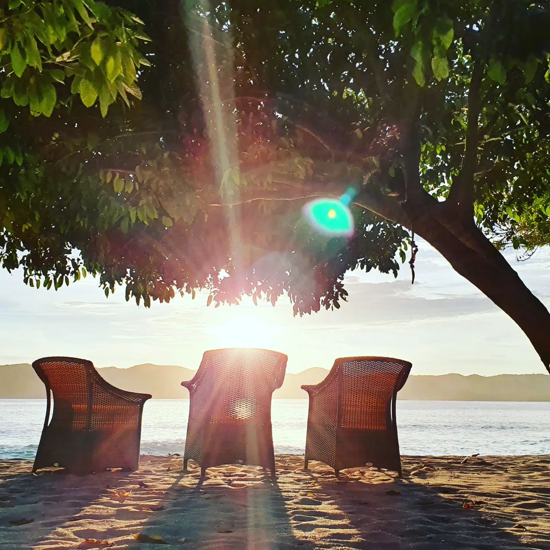 Club Paradise Palawan tweet media