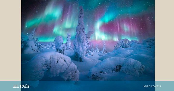 elpais_foto's tweet photo. Fotos: Las mejores imágenes de auroras boreales de 2021 https://t.co/Xdvwq4mqXf @capturetheatlas https://t.co/gYPuSAT3cX