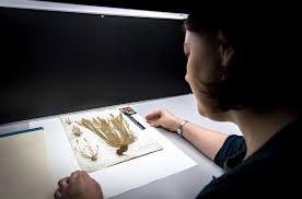 camplantsci's tweet photo. New job alert 🚨 We're looking to recruit a Curation and Digitisation Assistant to work in our @CUHerb 🌱 to help with the auditing and digitisation of our historically and scientifically important #herbarium specimens 🔬
See details here 👉https://t.co/0uf38dJyM6 https://t.co/CoKLAH5MAZ
