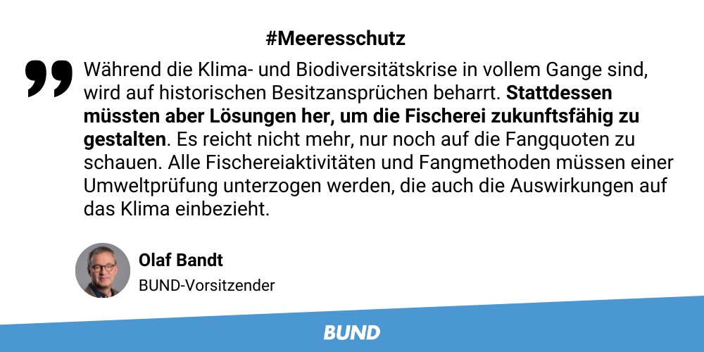 bund_net's tweet photo. Die neuen #Nordseefangquoten2022? Lösen gemischte Gefühle bei uns aus. Hoffnung macht die wachsende Solidarität zur Rettung des #Hering|s in der #Ostsee. Düster sieht's aus für den #Kabeljau. Mehr: https://t.co/L1JapMTV60 #ÜberfischungStoppen #Meeresschutz #Klimaschutz https://t.co/KqvVukkjhI