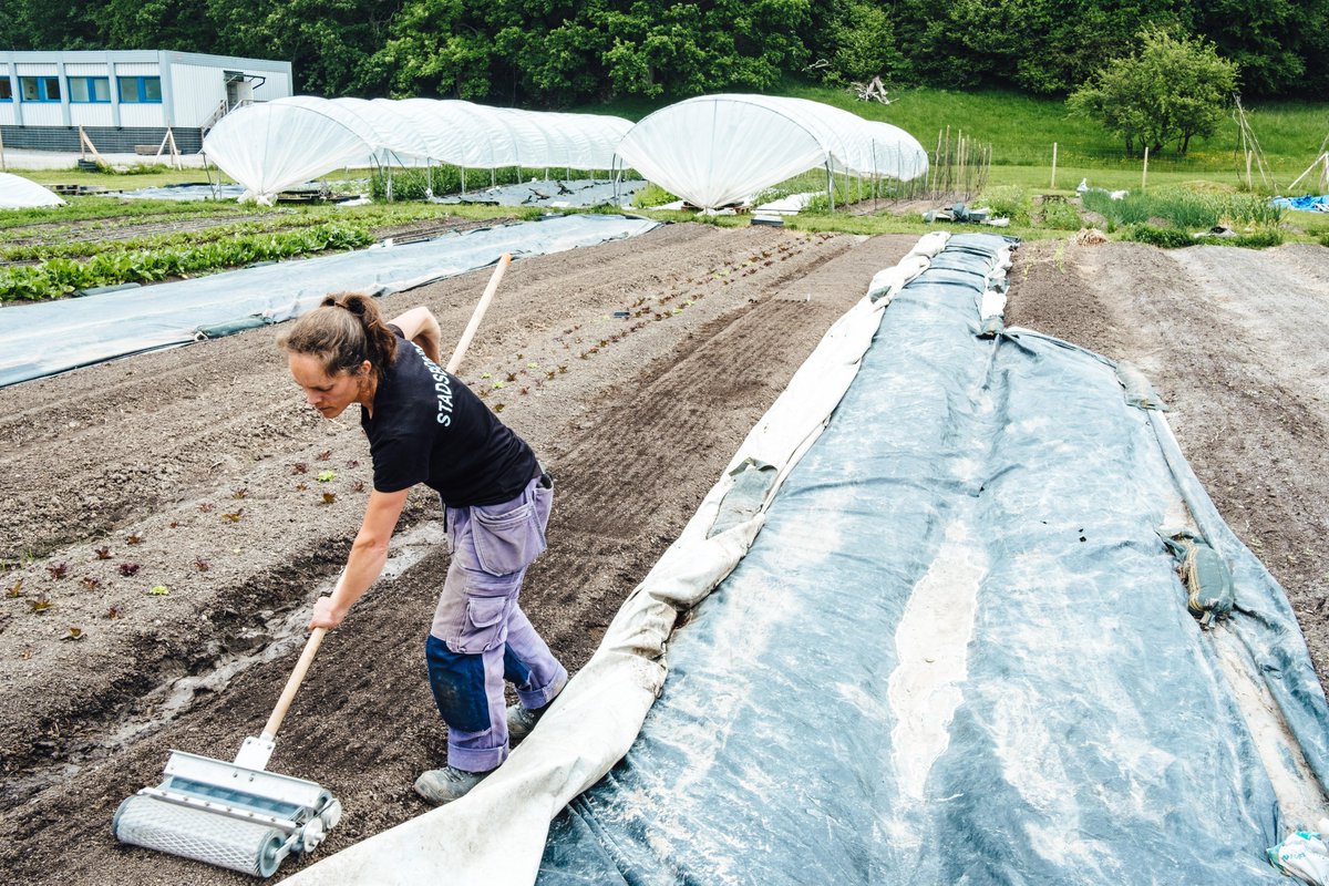 Saturn Landscape EIT Climate KIC tweet media