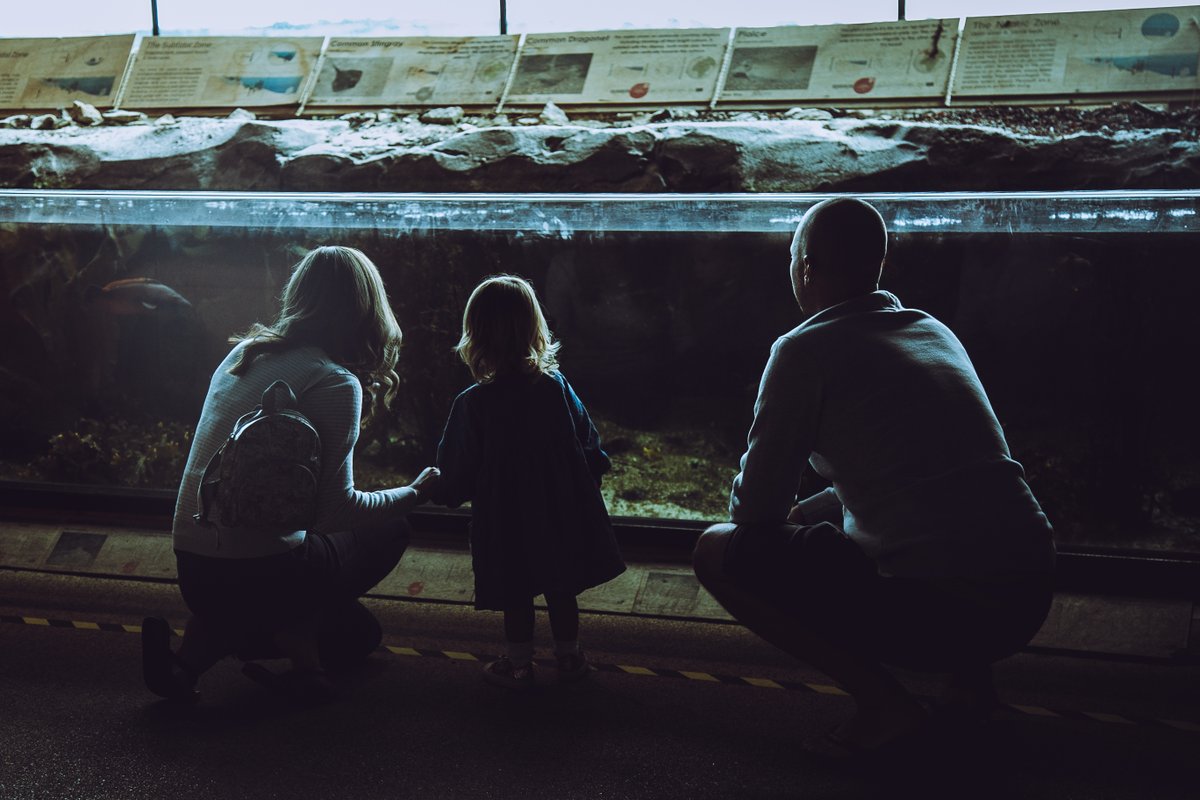 When was the last time you visited our Aquarium? 📆

Who did you visit with? 🦈

If you’re looking for a quiet place to take the little ones this winter don’t forget, all tickets come with a free year, so once you’ve visited once, that’s rainy days out sorted for 12 months.
