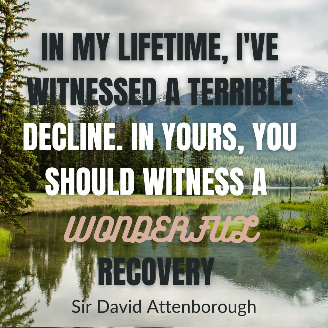 LessPlasticUK's tweet photo. We stand with Sir David Attenborough. by making it our mission to raise awareness of #plasticpollution &amp; fund solutions to it 👊❤️ 

All so that we might witness the wonderful recovery of which he speaks 🙏 

Follow us &amp; share to do your bit! Together we can make change 😁 https://t.co/33JL1jm47z