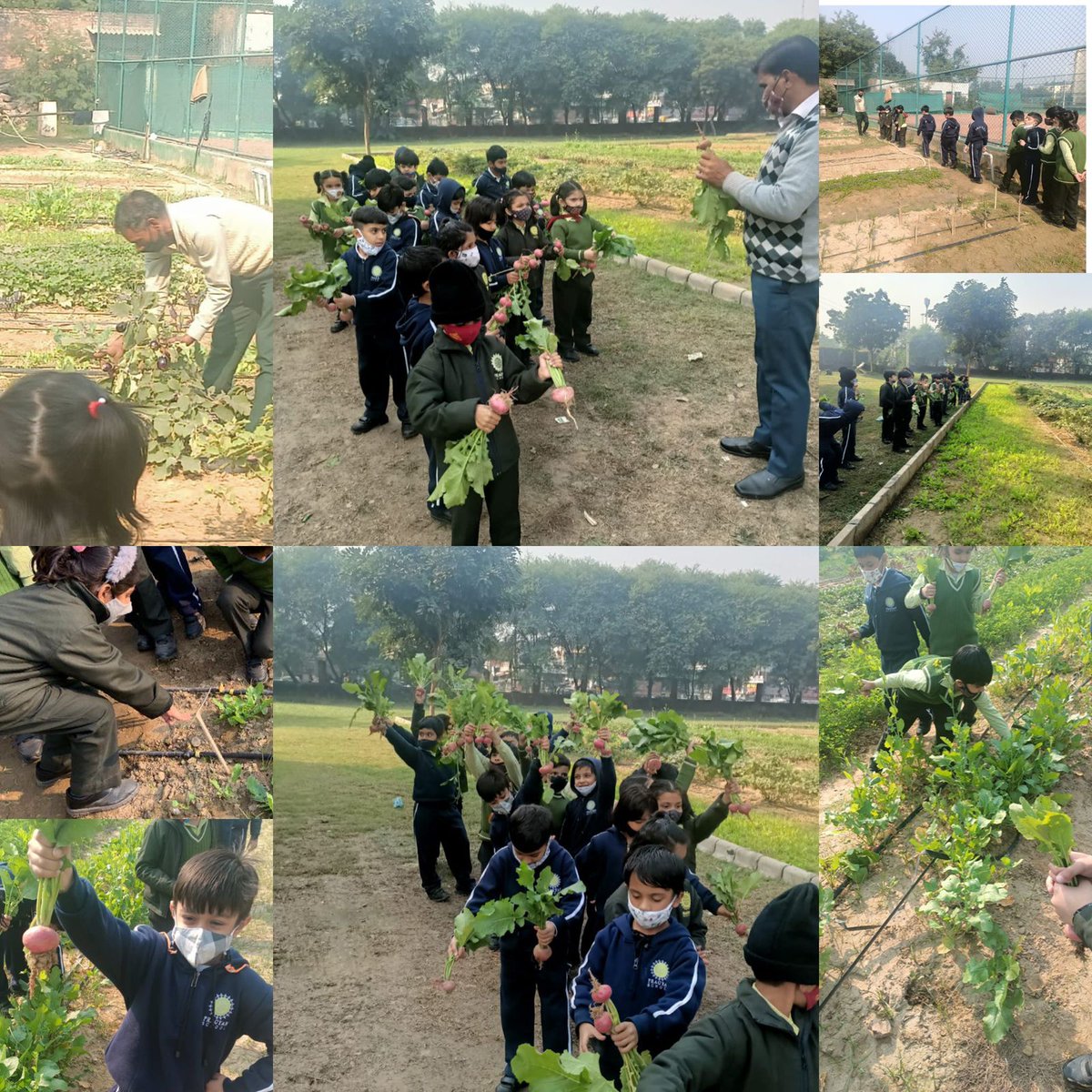 Farming is an imp part of society. Young buds of Pragyan (1-2) learnt abt basic farming. This created awareness abt food which they eat and the efforts in growing it. They developed responsibility towards the mother nature, and food we eat #sdg12
<a href="/RamChan89264916/">Ram Chand</a> <a href="/Kapoor_Divya_/">Divya Kapoor</a>