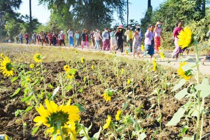 ayethet_96's tweet photo. Pro democracy residents in the eastern Yinmarpin and northern Sarlingyi led the 279th day of collective villages strike against the Military dictatorship.

#HelpPoliticalPrisoners
#Dec14Coup
#WhatsHappeningInMyanmar https://t.co/SVoWvD870v