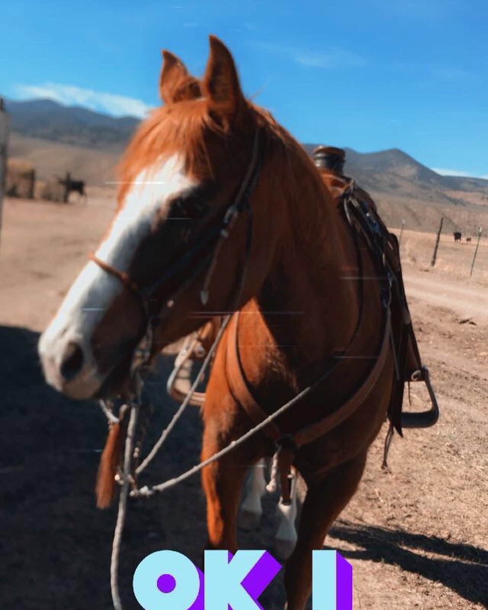 I see moments of weakness in myself where I reach out to ppl that don’t deserve me, like I love you man bless but if you can’t even take the time to call me then I need to love and let go…. 

(Also feel less stupid posting photos of my horses with a rant)