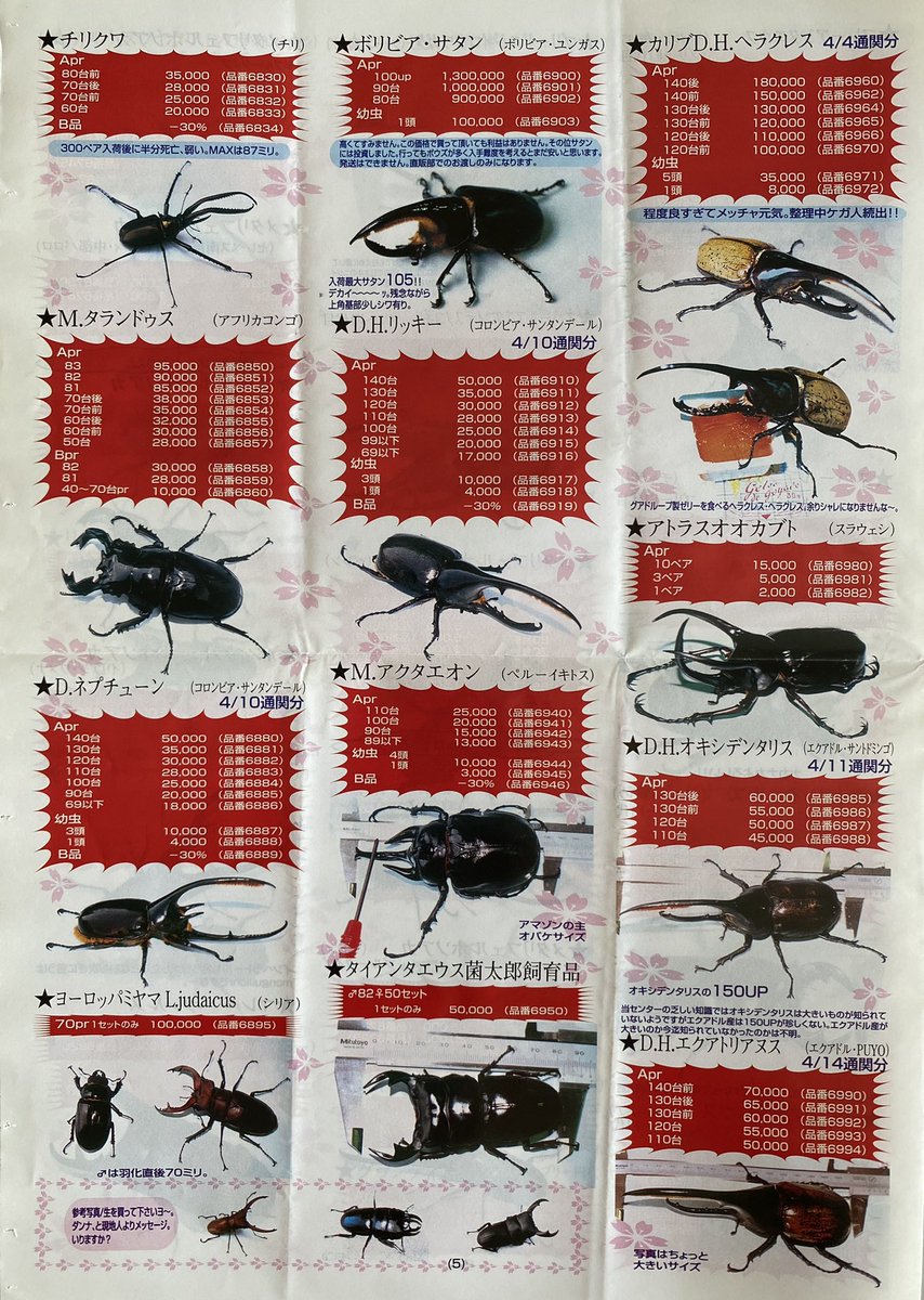 FGjCRHNVcAMw1pB.jpg?format=jpg