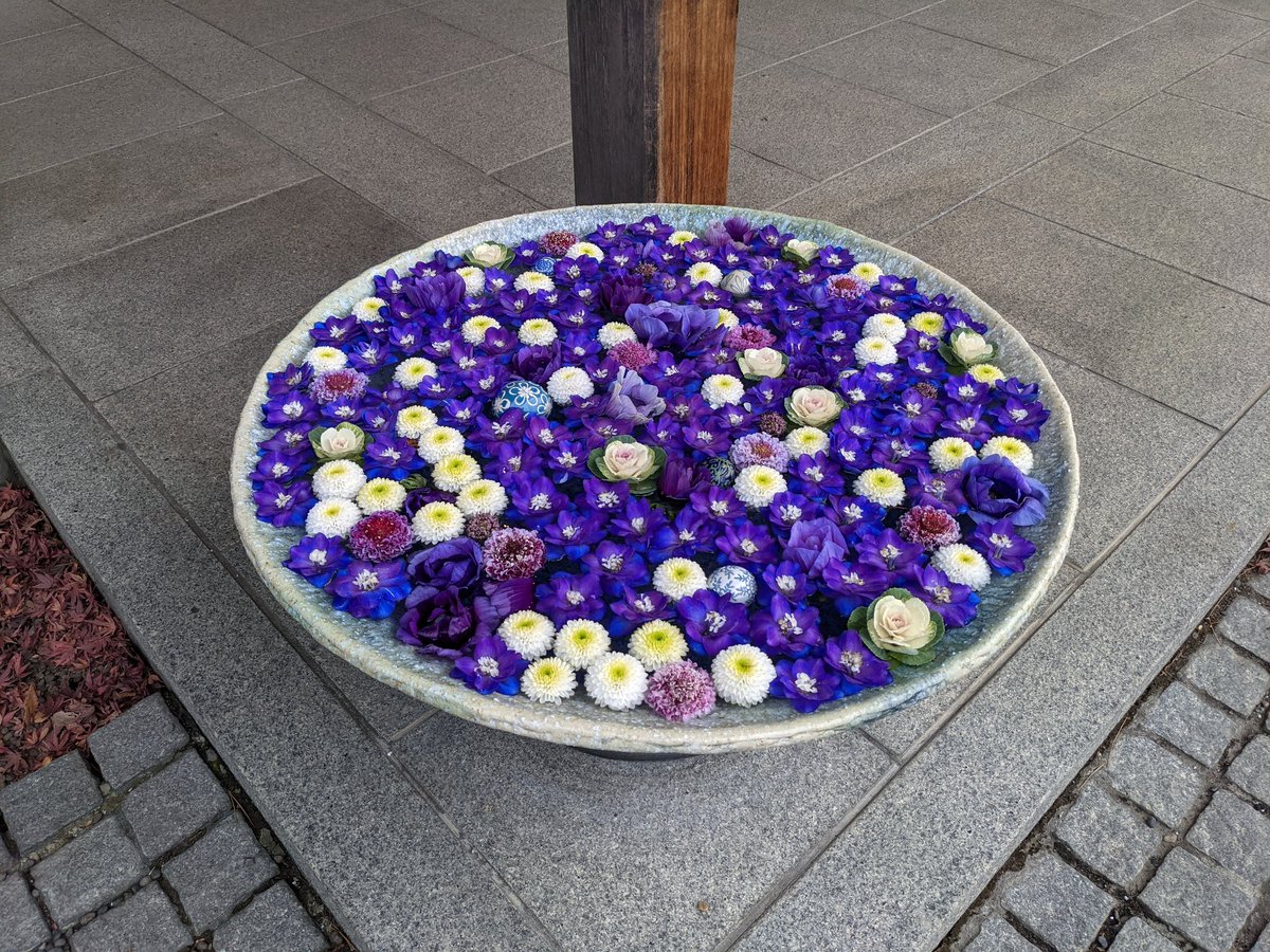 IBS0301's tweet photo. 陸王のロケ地の足袋工場の近くの格式高い神社
花手水で有名なのと、難病を封じ込めてくれるご利益でも有名
埼��の行田にあります
皆様のお腹が善くなりますように願いを込めて最初のツイート
#行田八幡神社 #陸王 https://t.co/qzUGHum78J